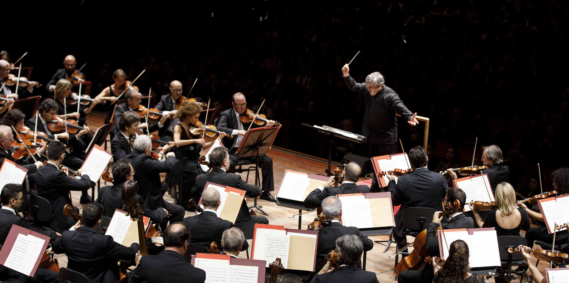 Orchestra Accademia Nazionale Santa Cecilia